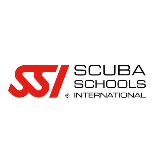 dive the Rock - SSI