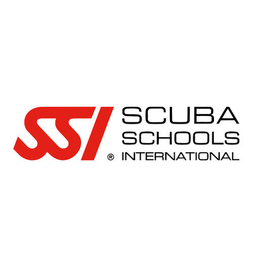 dive the Rock - SSI
